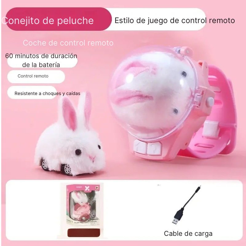 Carro control remoto