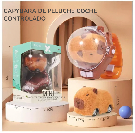 Carro control remoto