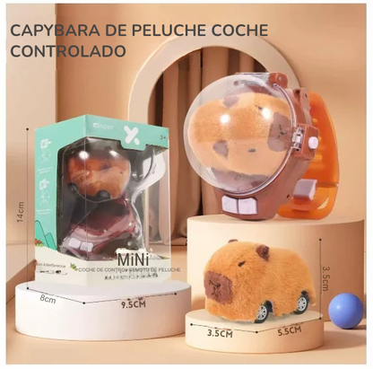 Carro control remoto