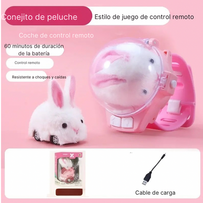 Carro control remoto