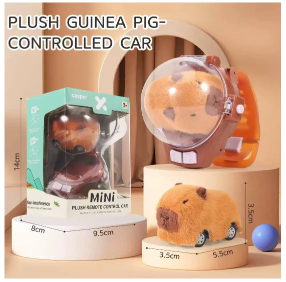 Carro control remoto